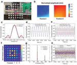 Multifunctional Metamaterials for Energy Harvesting  and Vibration Control