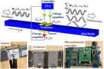 Independent Flexural Wave Frequency Conversion by a Linear Active Metalayer